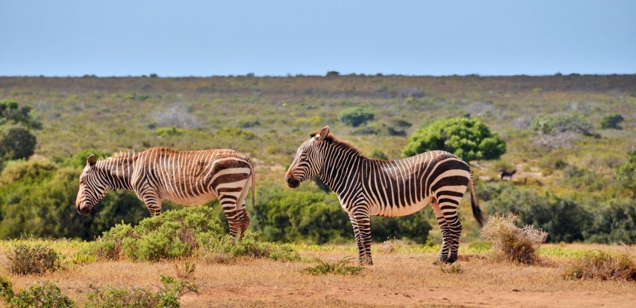 De Hoop Collection - Equipped Cottages De Hoop Nature Reserve ภายนอก รูปภาพ